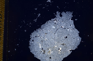 Cross Polarized, E14397