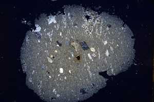 Cross Polarized, E14399