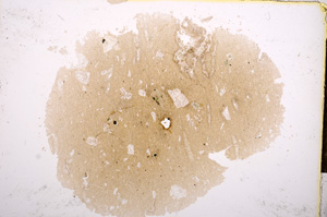 Plane Polarized, E14399