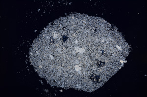 Cross Polarized, E14404