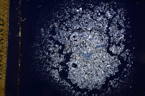 Cross Polarized, E14406