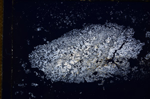 Cross Polarized, E14408