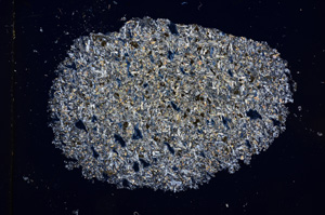 Cross Polarized, E14409