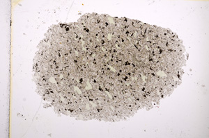 Plane Polarized, E14409