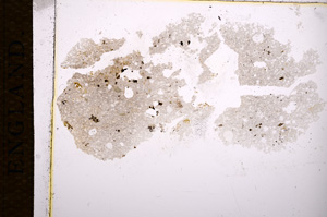 Plane Polarized, E14410