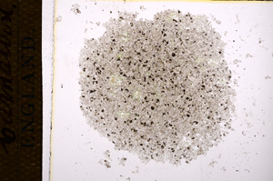 Plane Polarized, E14412