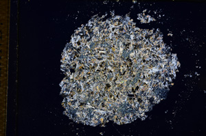 Cross Polarized, E14413