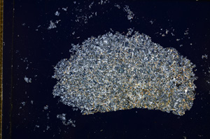 Cross Polarized, E14415