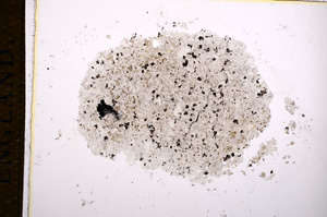 Plane Polarized, E14419