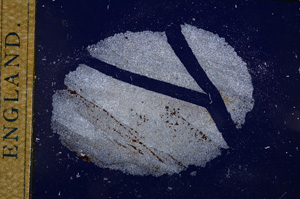 Cross Polarized, E14421