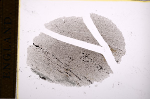 Plane Polarized, E14421