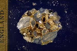 Cross Polarized, E14422