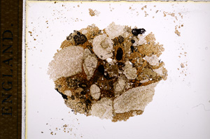 Plane Polarized, E14422