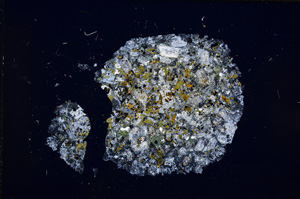 Cross Polarized, E14426