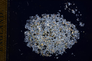 Cross Polarized, E14482