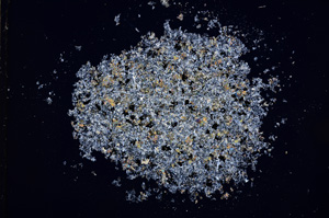 Cross Polarized, E14484