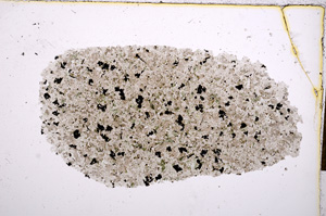 Plane Polarized, E14485