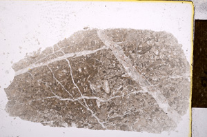 Plane Polarized, E14503