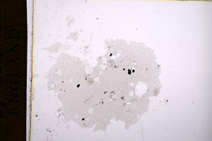 Plane Polarized, E14506