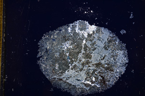 Cross Polarized, E14547