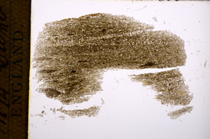 Plane Polarized, E14548