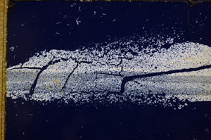 Cross Polarized, E14569