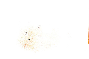 Plane Polarized, E14580