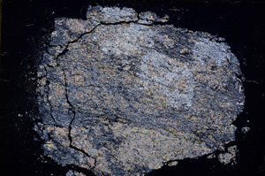 Cross Polarized, E14585
