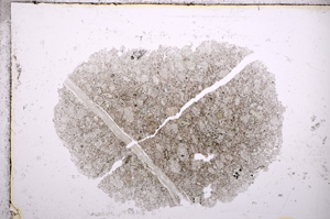 Plane Polarized, E14599
