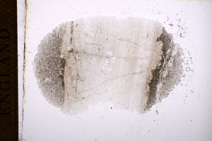 Plane Polarized, E14631