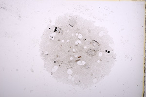 Plane Polarized, E14646