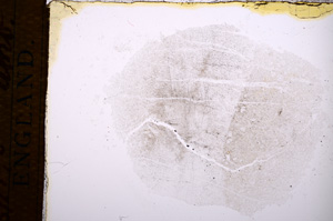 Plane Polarized, E14649