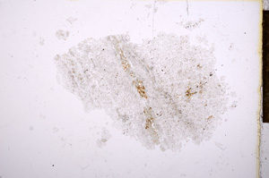 Plane Polarized, E14651