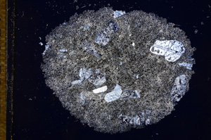 Cross Polarized, E14661