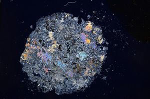 Cross Polarized, E14663