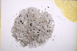 Plane Polarized, E14663