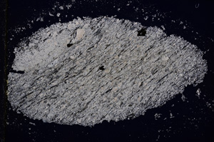 Cross Polarized, E14664