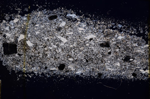 Cross Polarized, E14665