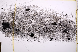 Plane Polarized, E14665