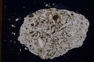 Cross Polarized, E14678