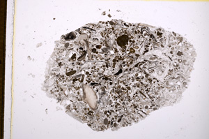 Plane Polarized, E14678