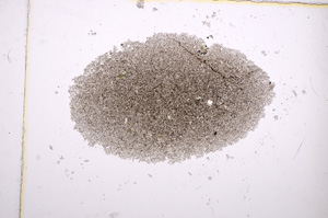 Plane Polarized, E14741