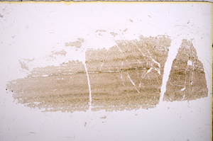 Plane Polarized, E14767