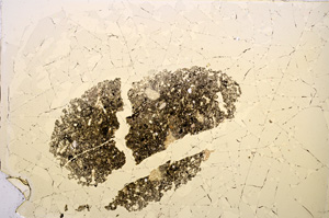 Plane Polarized, E14770