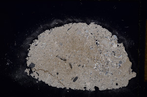 Cross Polarized, E14794