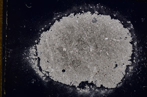 Cross Polarized, E14795