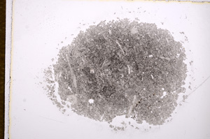 Plane Polarized, E14795