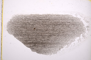 Plane Polarized, E14807