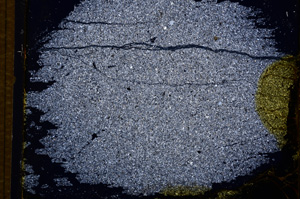 Cross Polarized, E14808