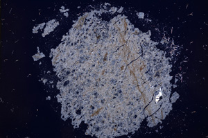 Cross Polarized, E14838